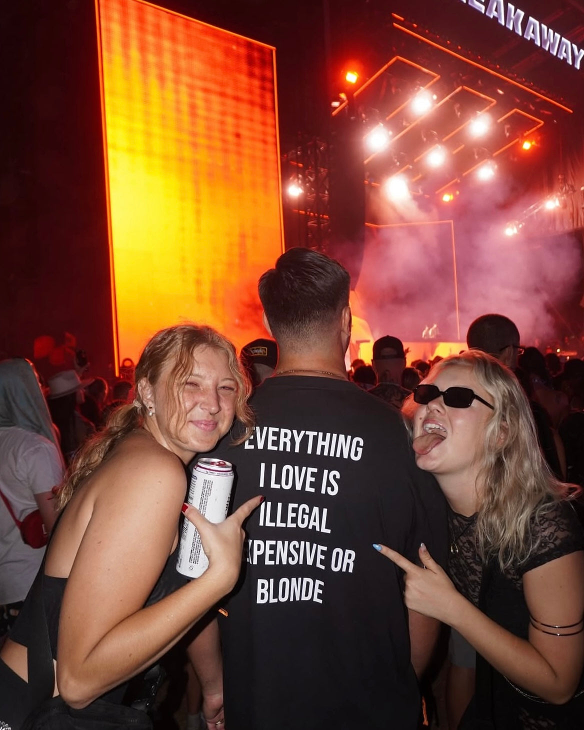 Everything I Love Is Illegal Expensive Or Blonde